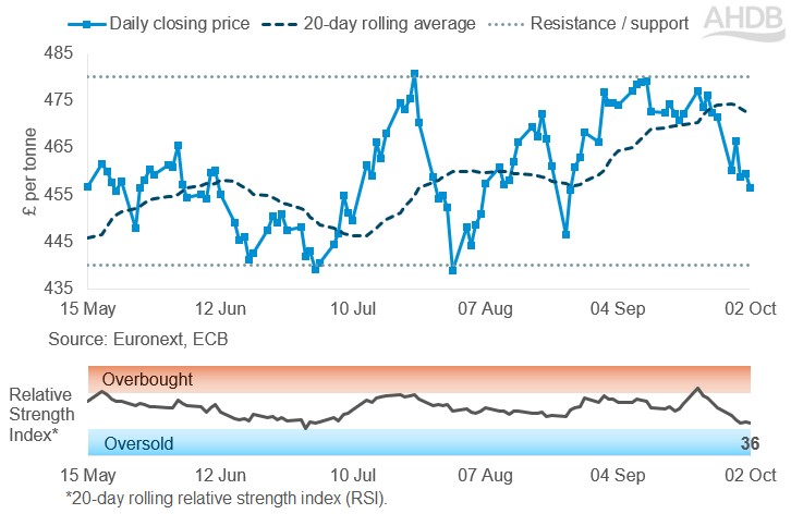 Line graph of Paris rapeseed futures Nov-26 contract prices in £/t over the past six months.
